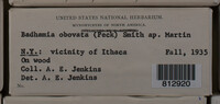 Image Associated With the Occurence